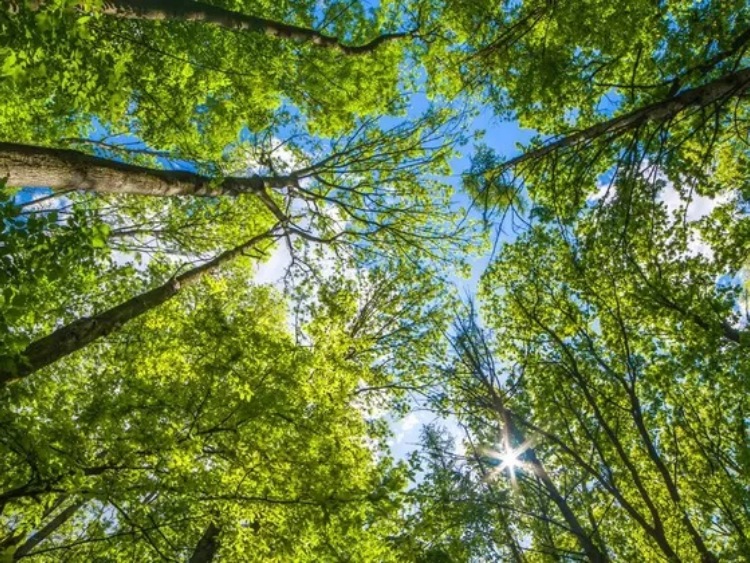 Koło ratunkowe dla neutralności klimatycznej w Polsce – jeszcze nie jest za późno